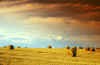 feld-400px.jpg (81619 Byte)